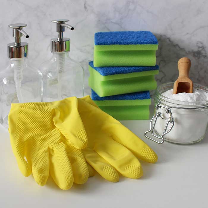 About Pest Control  Pensacola
